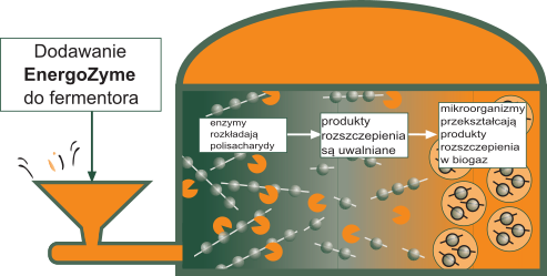 fermentor