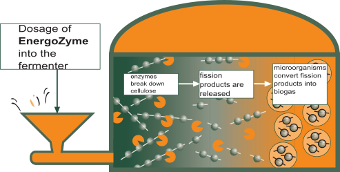 fermentor